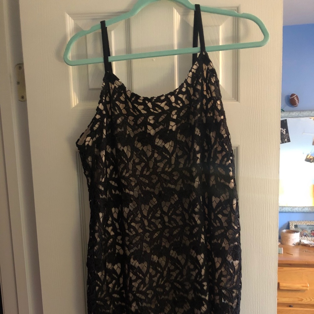 alice + olivia black lace mini